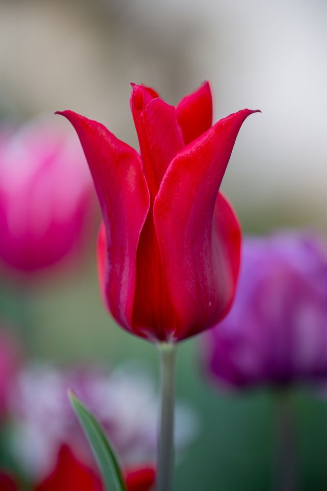 Photograph by Наталья Снеговая