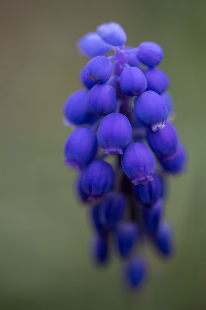 Photograph by Наталья Снеговая