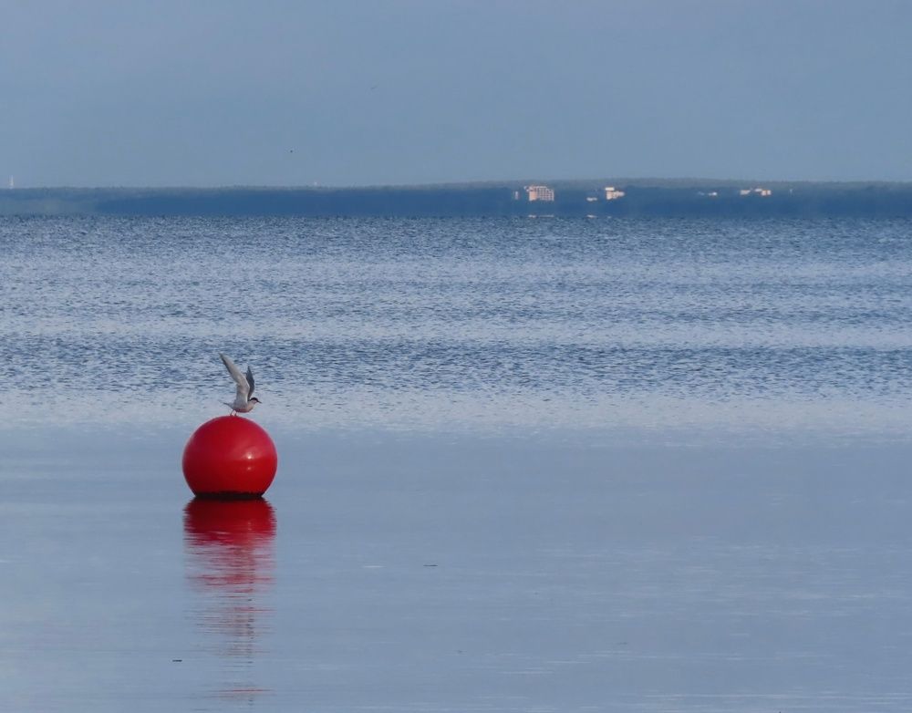 Photograph by Елена Жукова