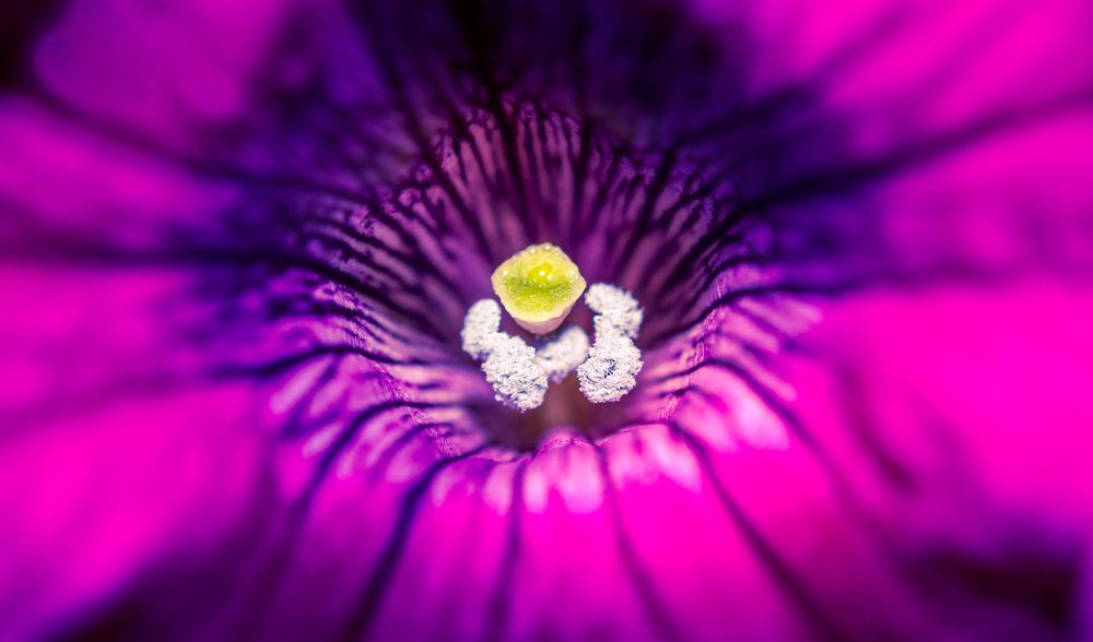 Photograph by Дмитрий Кузнецов