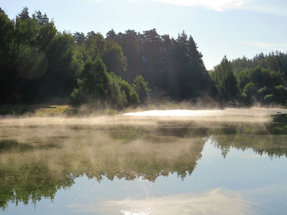 Утренняя прохлада