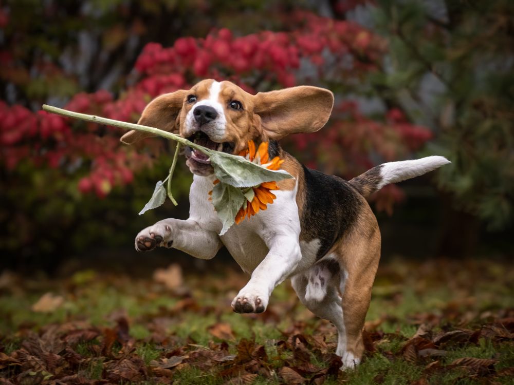 Photograph by Dina Damotseva