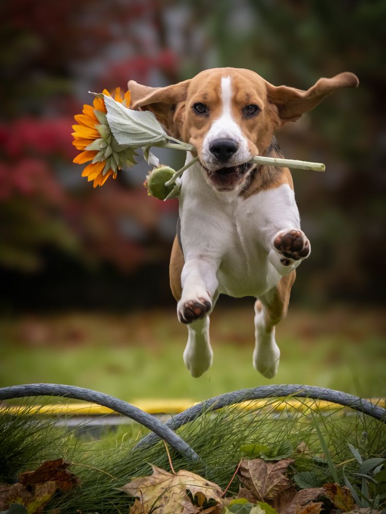 Photograph by Dina Damotseva