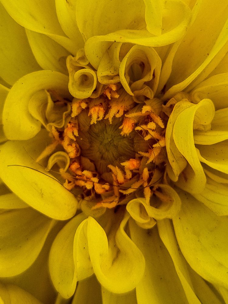 Photograph by Наташа Бурсова