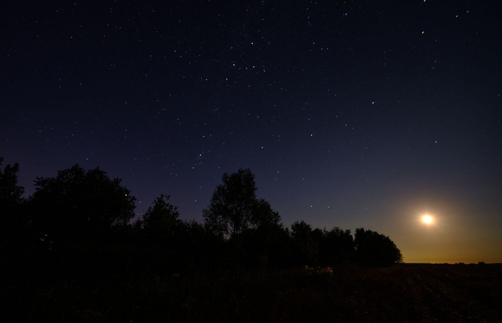 Photograph by Василий Арлашов