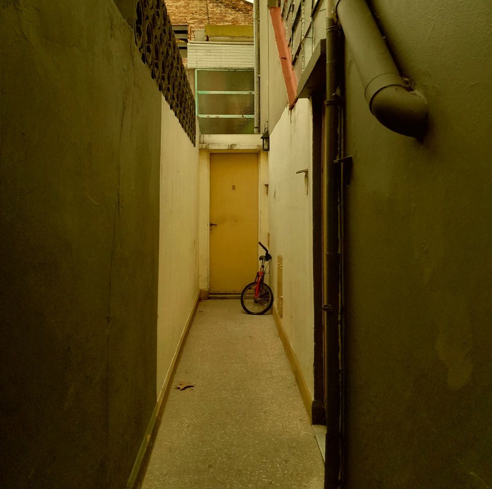 Photo #10875662