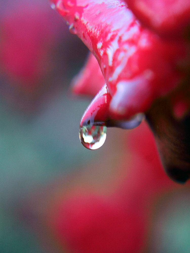 Photograph by Алексей Коношонкин