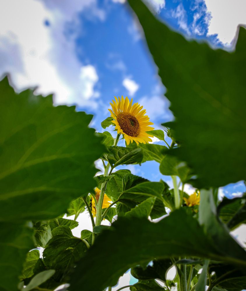 Фотография автора Юлия Гантимурова