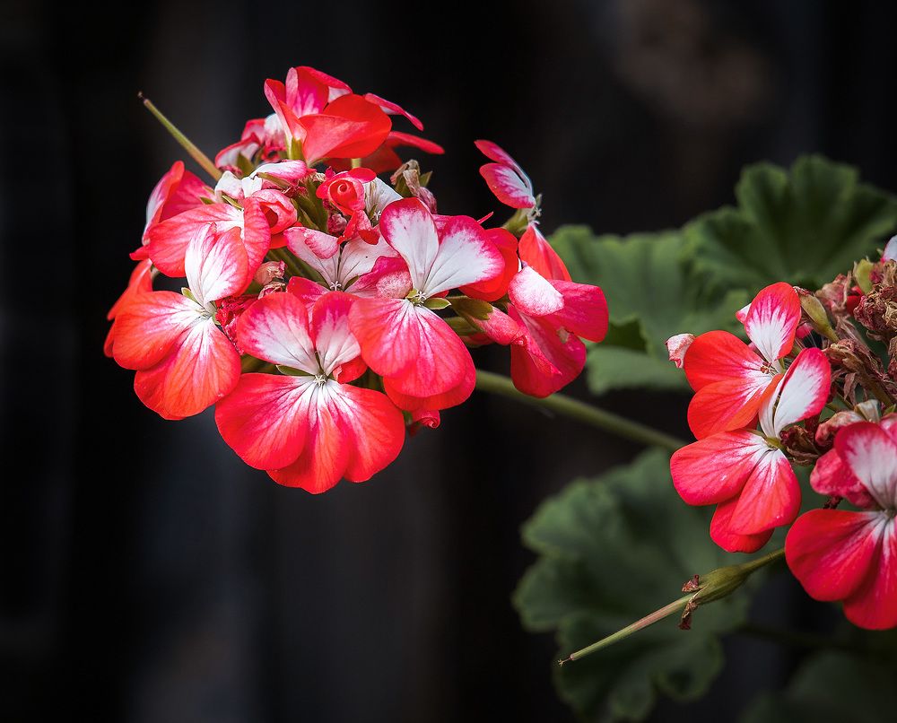 Photograph by Ткачёв Владимир