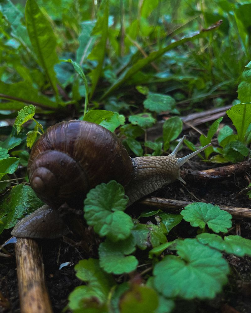 Photograph by Максим Зенкевич