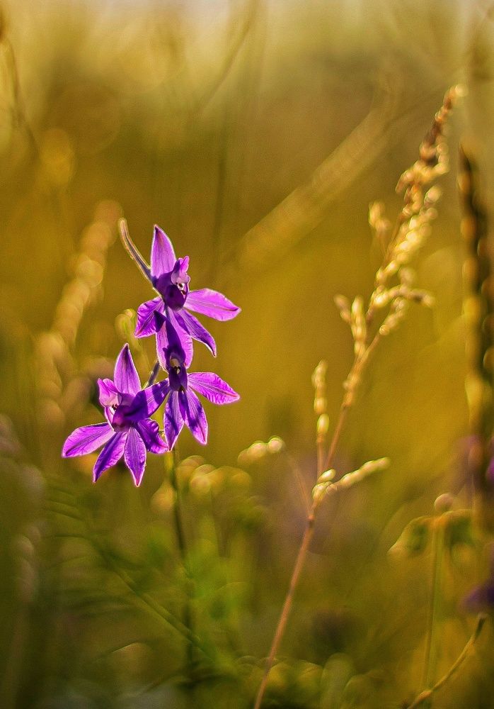 Photograph by Наталья Исиченко