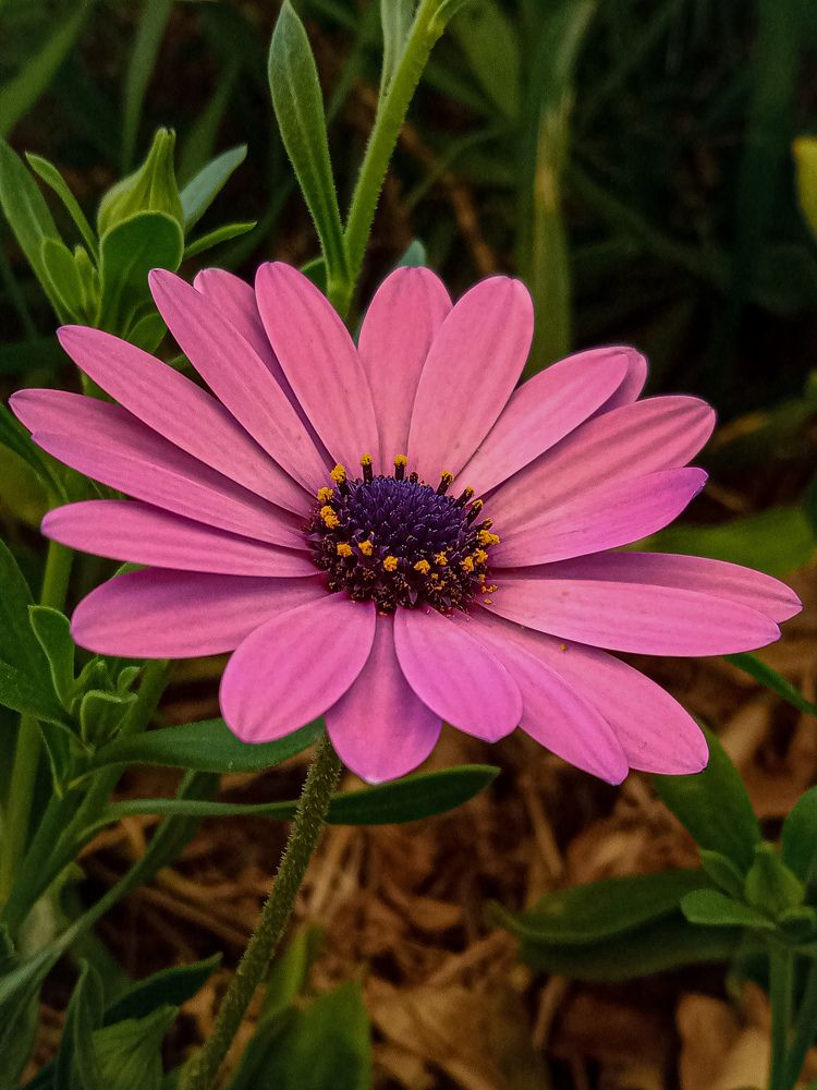 Photograph by Sara Bounab