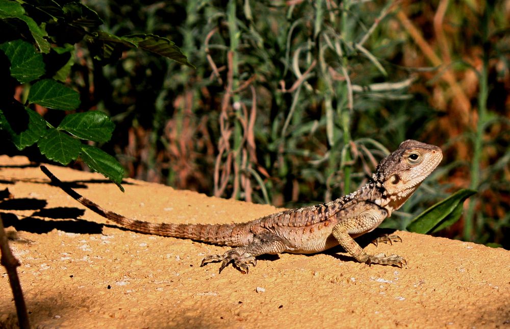 Фотография автора Ирина Муравьева