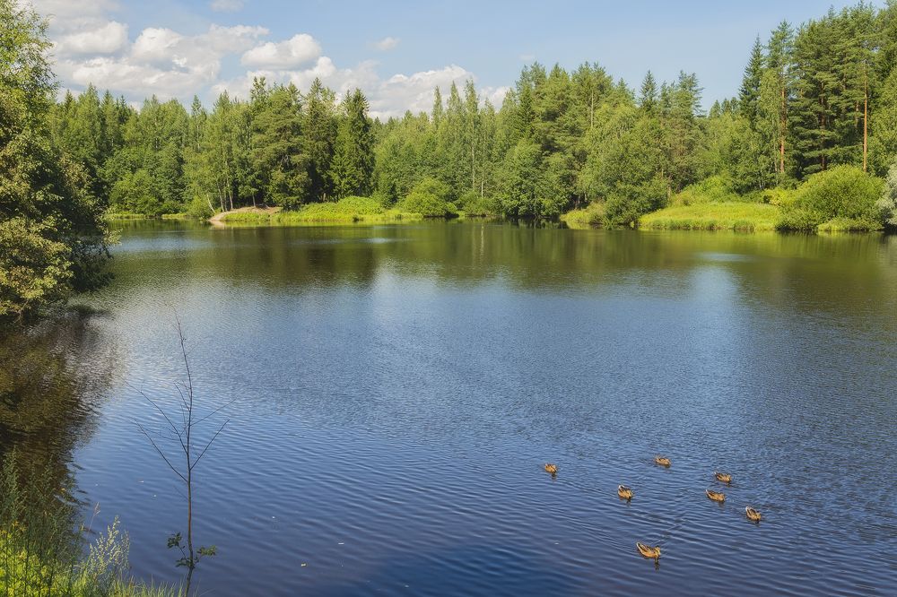 Photograph by Cергей Черныш