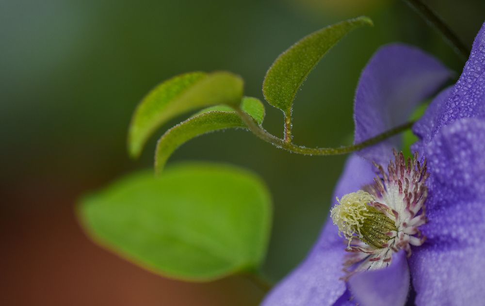 Фотография автора Владимир Пронин