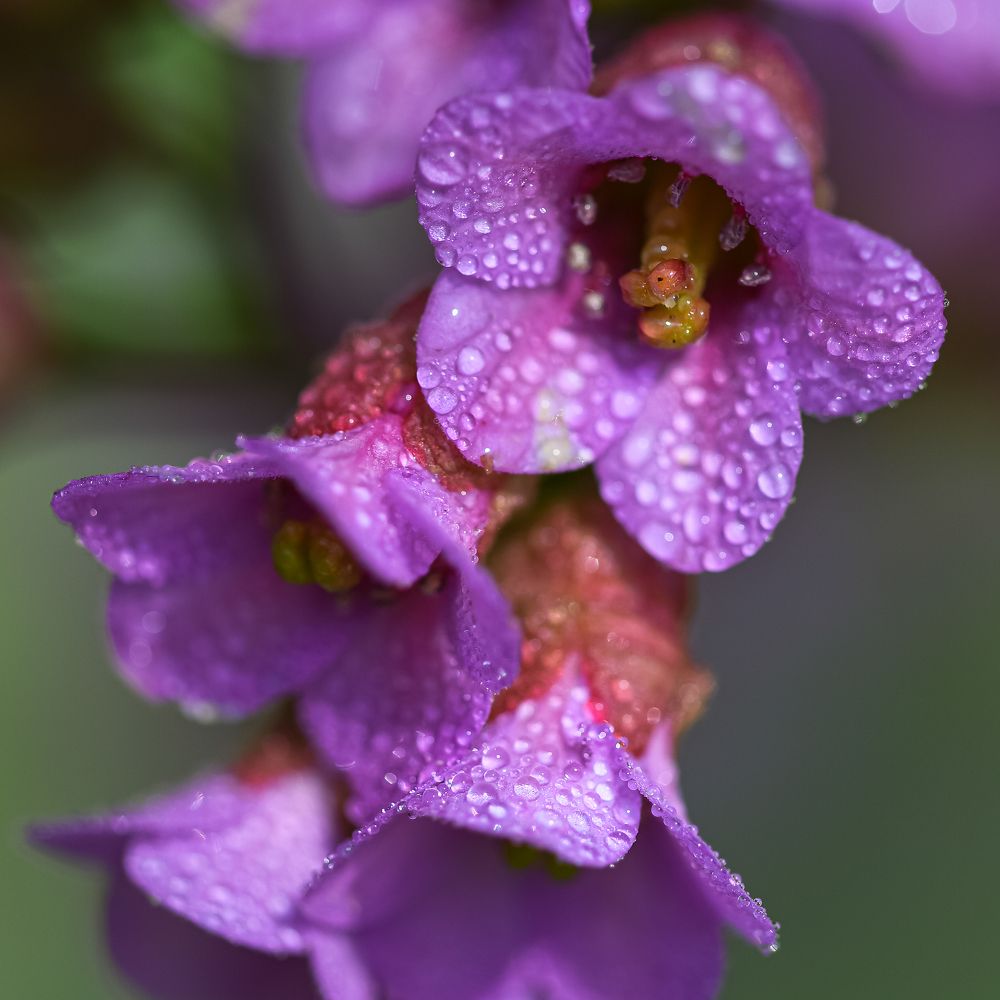 Фотография автора Владимир Пронин