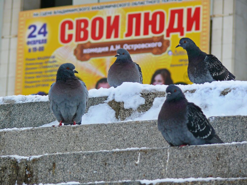 Фотография автора Анатолий Борисов