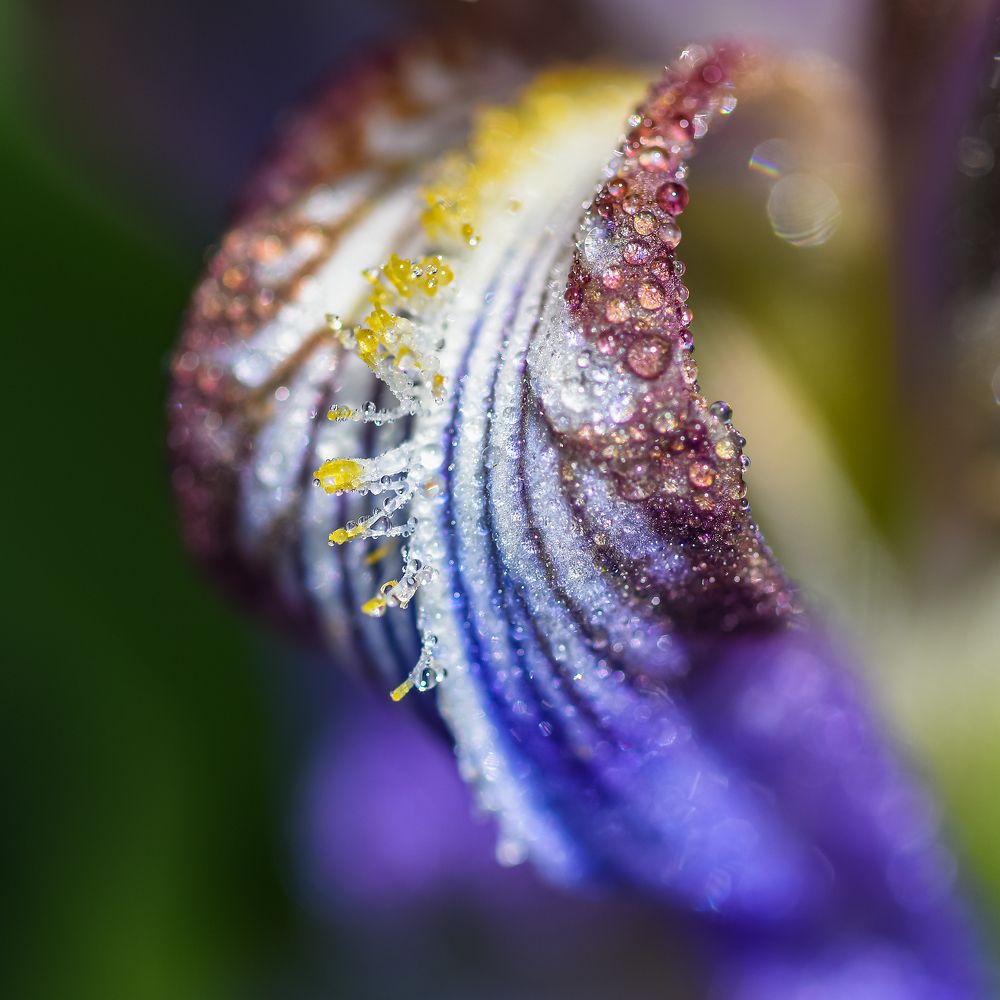 Фотография автора Владимир Пронин