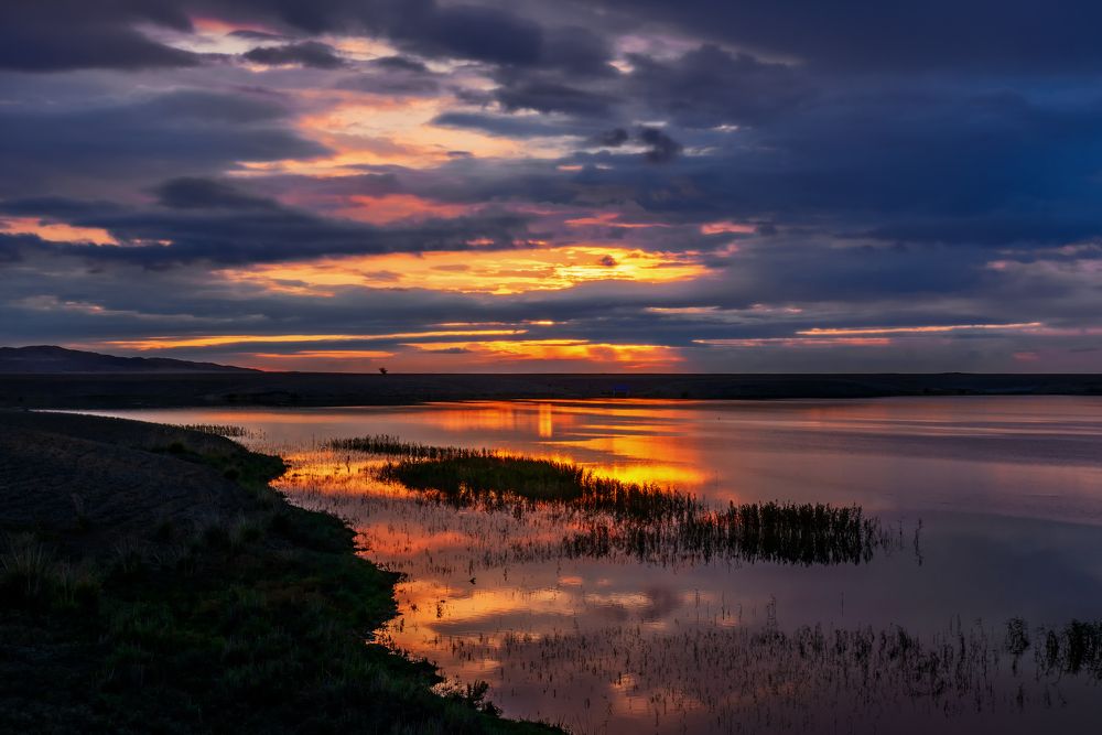 Photograph by Владимир Ушаров
