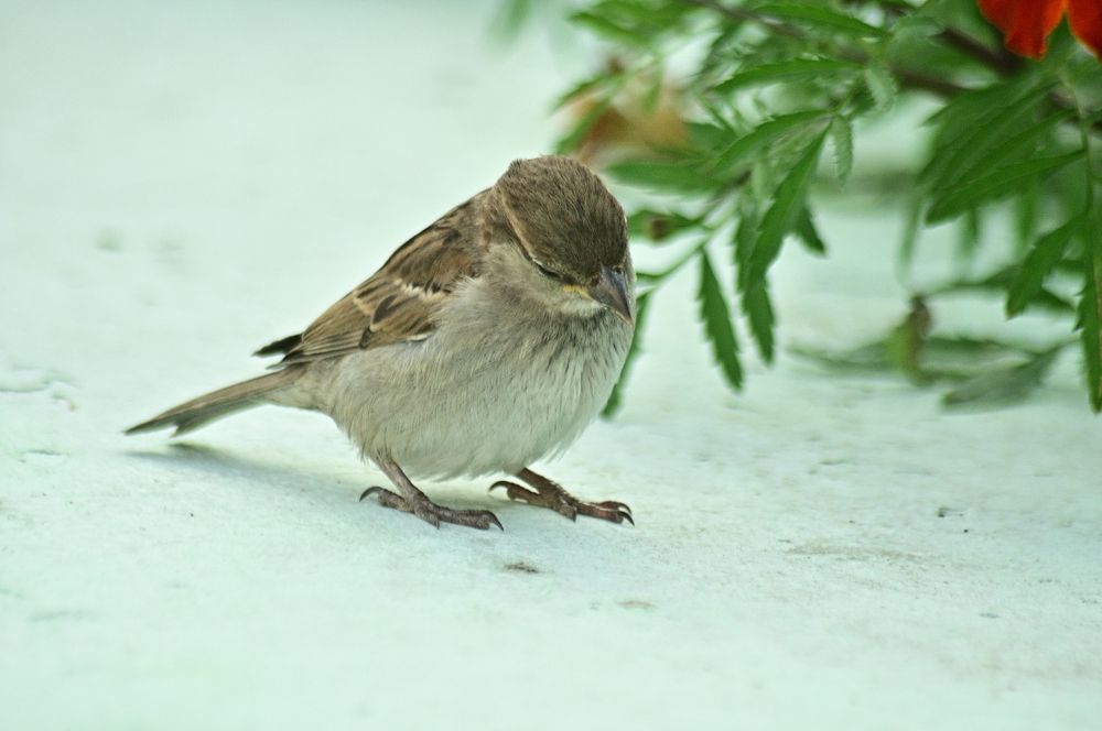 Photograph by Дмитрий Жуков