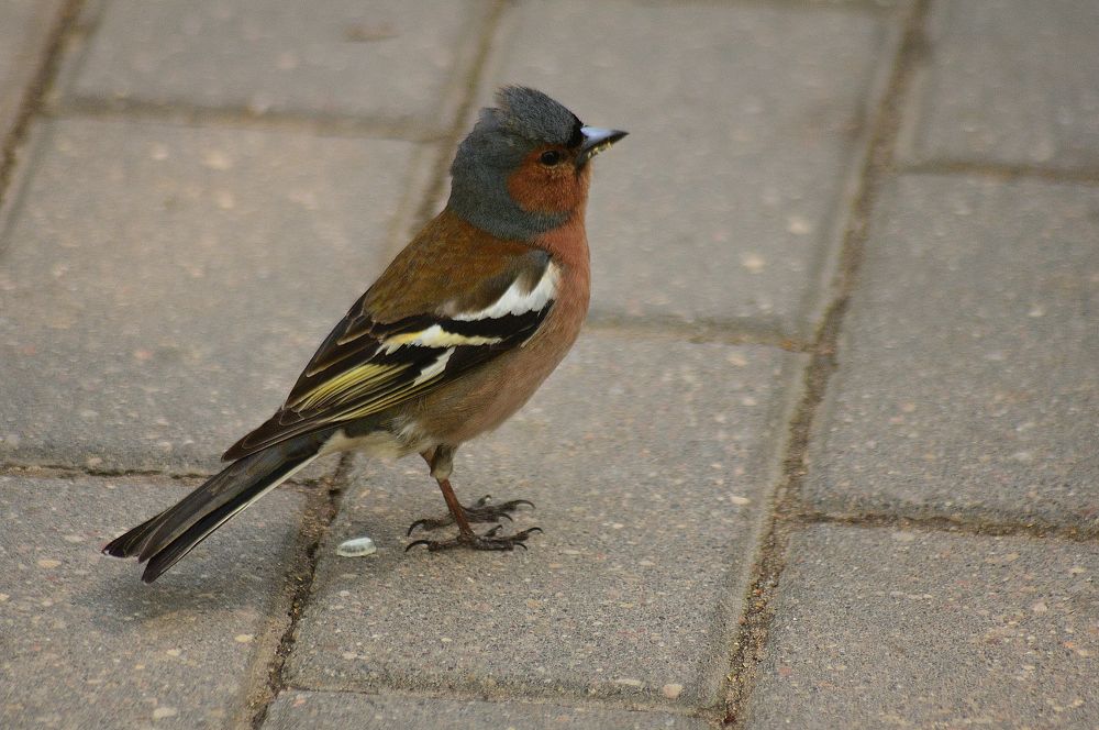 Photograph by Дмитрий Жуков