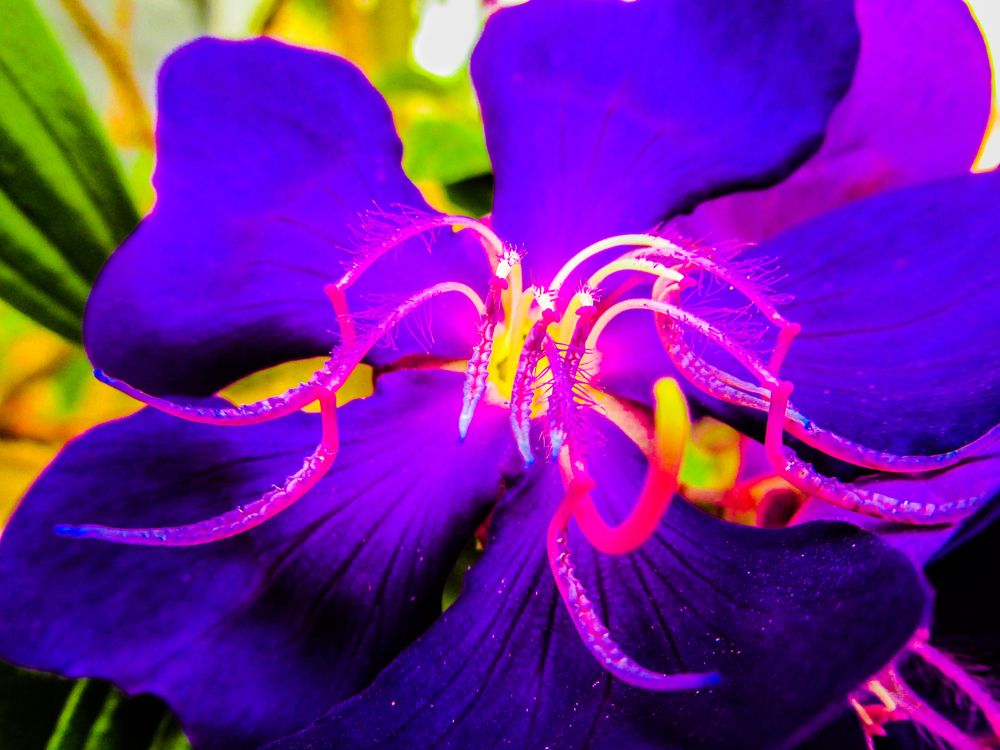 Photograph by Régis Santos