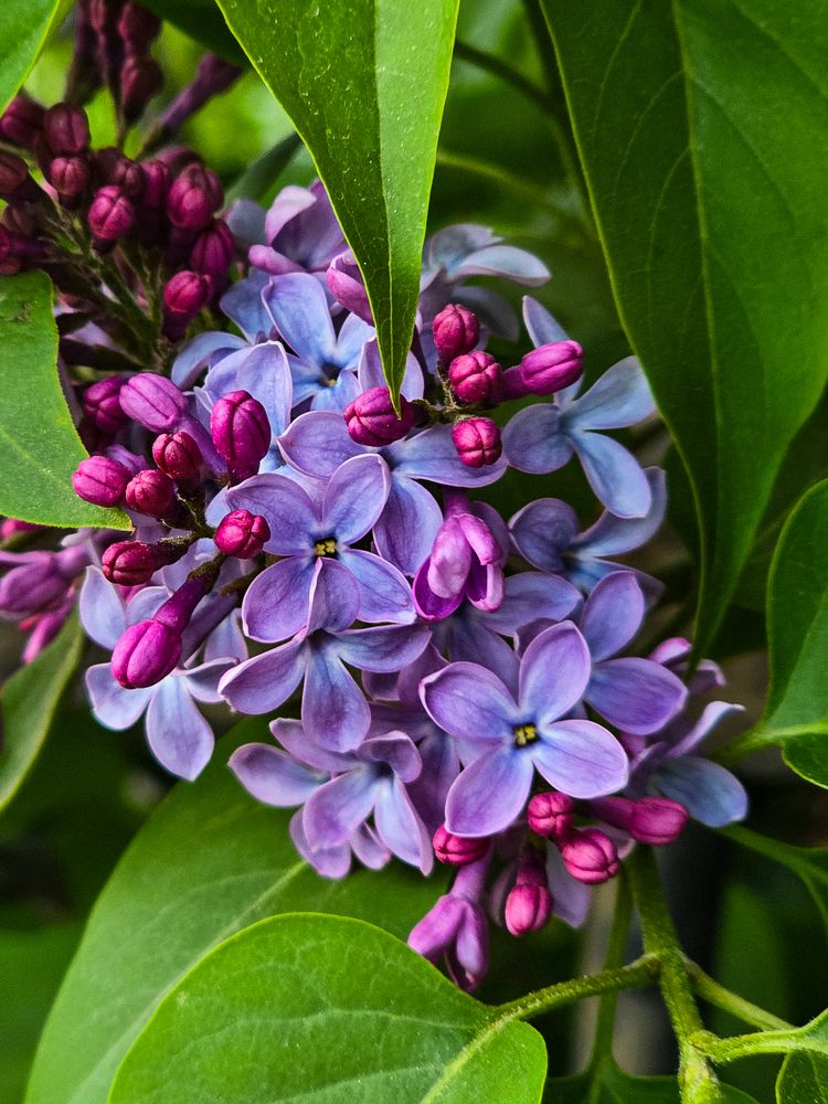 Photograph by Елена Ромашкина