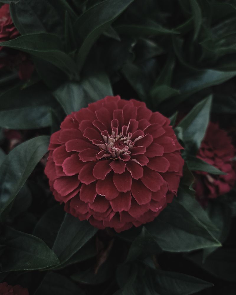 Photograph by Дарья Макаревич