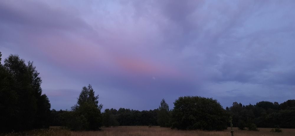 Photograph by Светлана Цапина