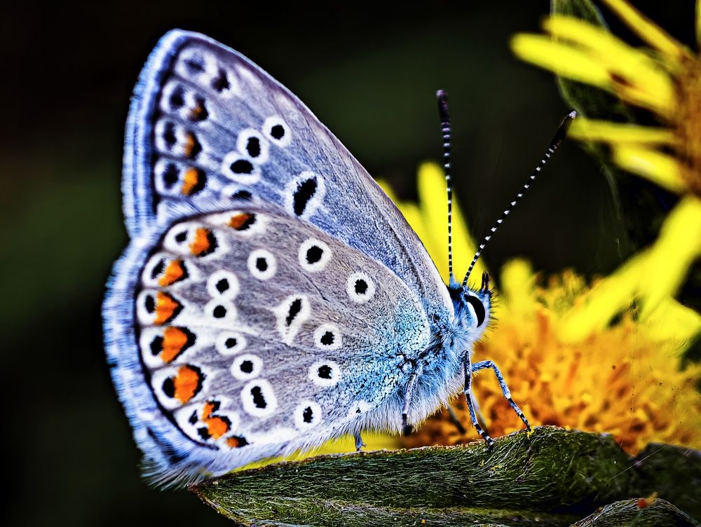 Photograph by Юлия Локтева