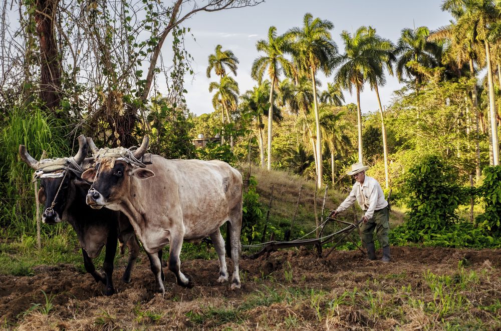 Photograph by Deryl Varela Cienfuegos