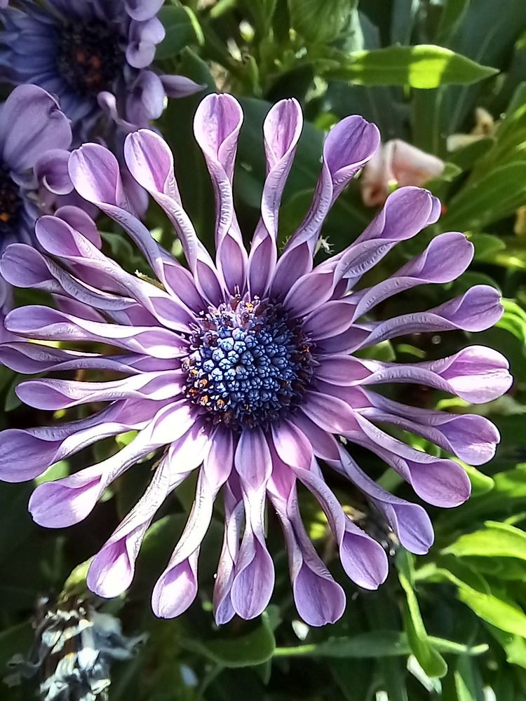 Фотография автора Nieves Gloria Alvarez Diaz