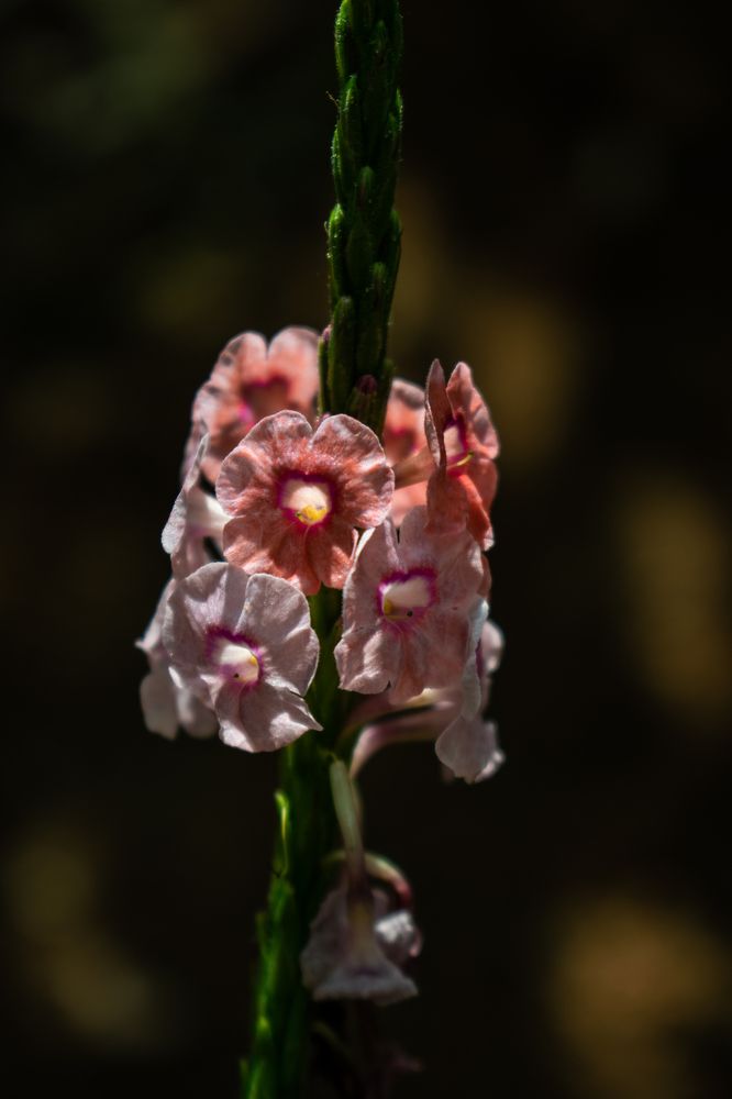 Фотография автора Jose Marcos Carvajal Tarazona