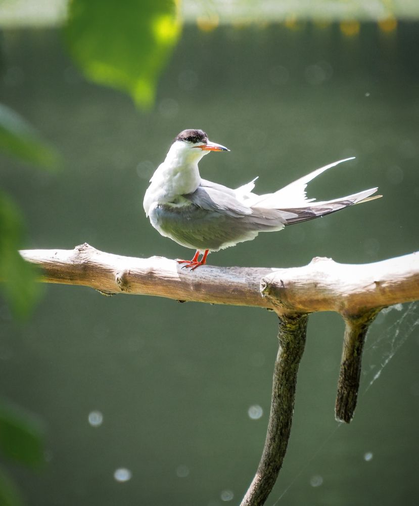 Photograph by Нина Кулинцева