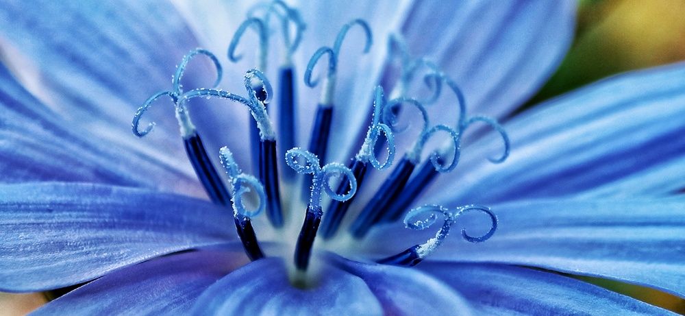 Photograph by Mahdi Mohammadi