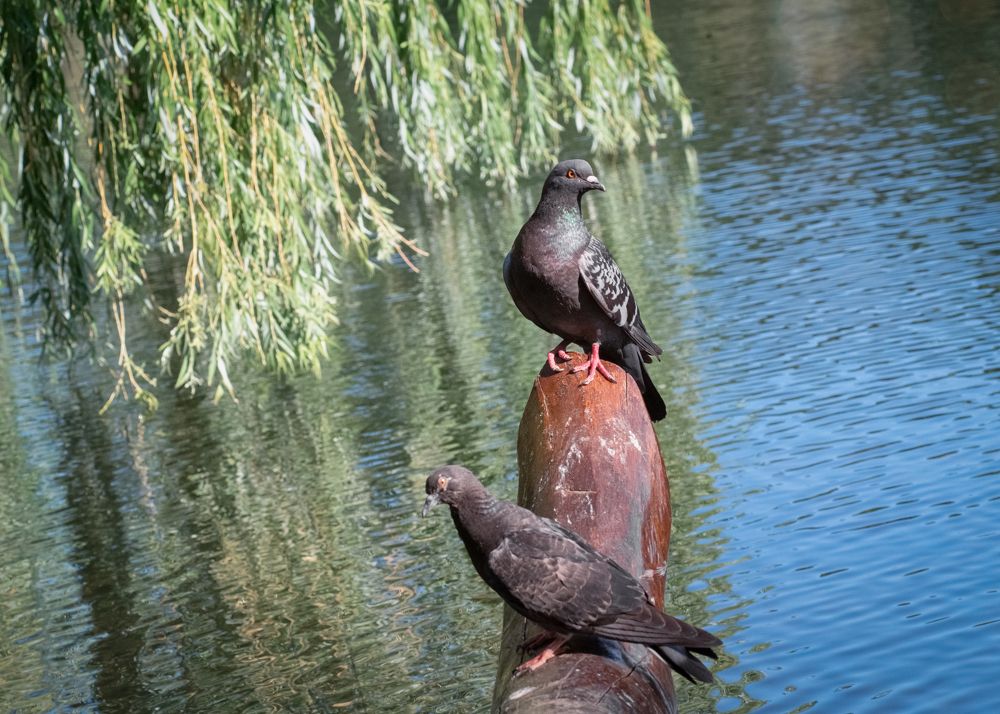 Photograph by Тамара Вотинцева