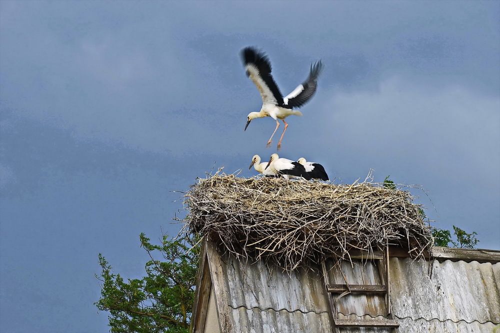 Фотография автора ВЛАДИМИР Тертышник