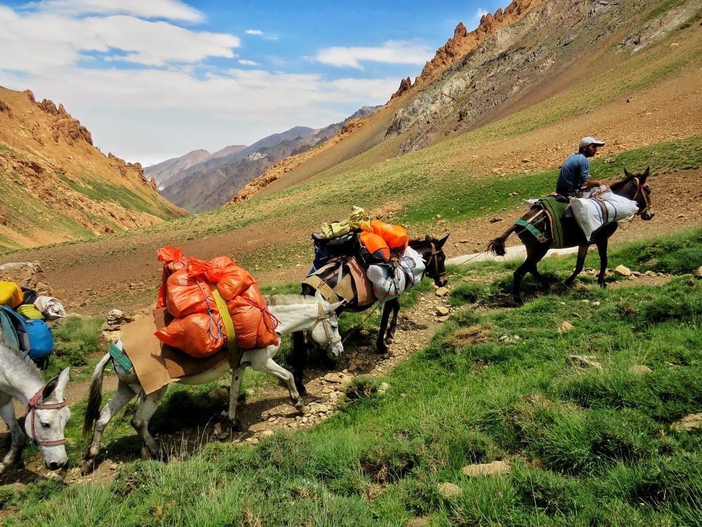 Фотография автора Mahdi Mohammadi