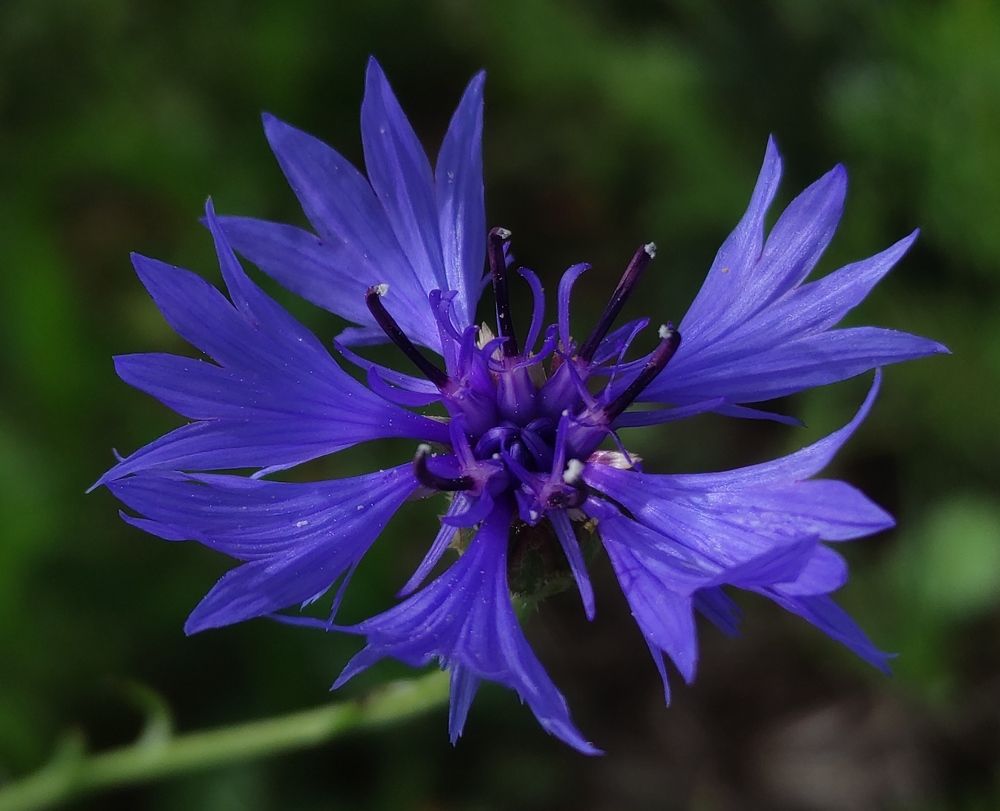 Photograph by Елена Попова