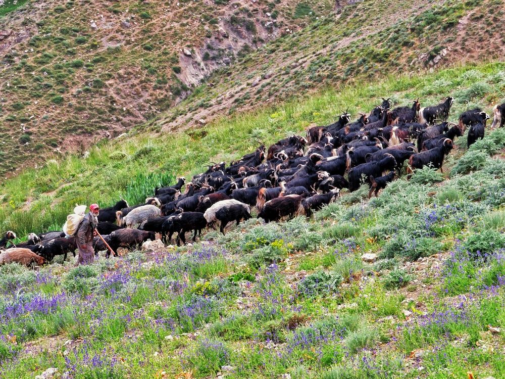 Фотография автора Mahdi Mohammadi