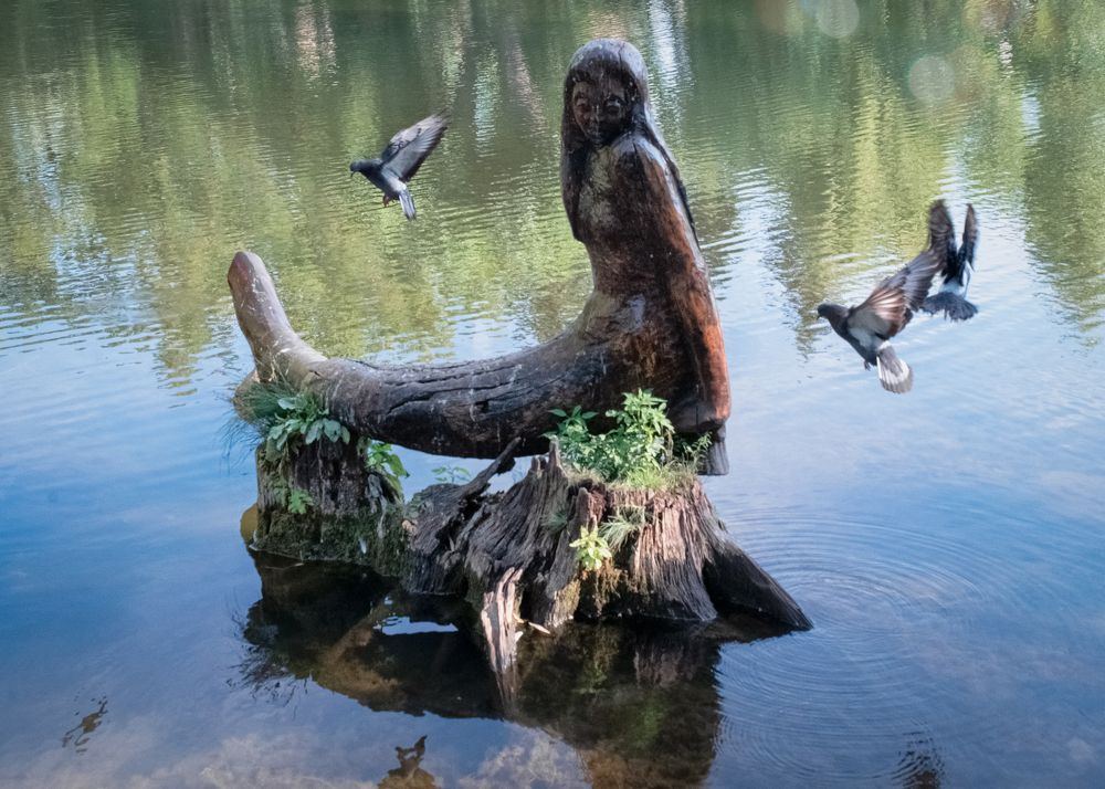 Photograph by Тамара Вотинцева