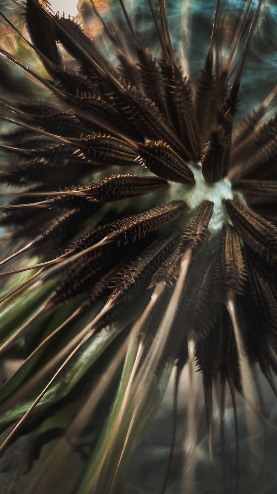 Photograph by Алена Жирова