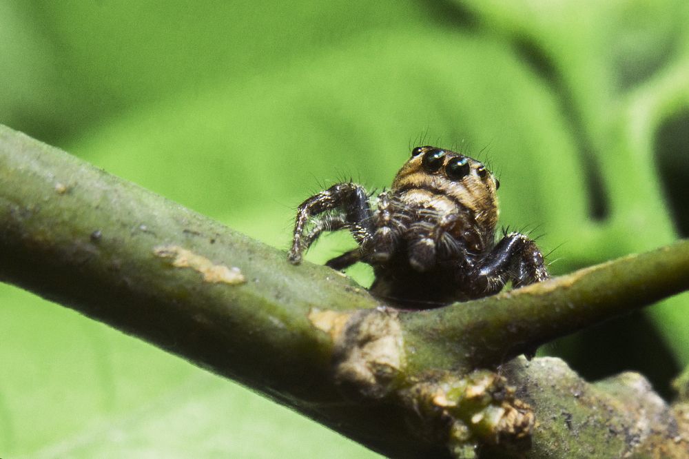 Photograph by Sayan Banerjee