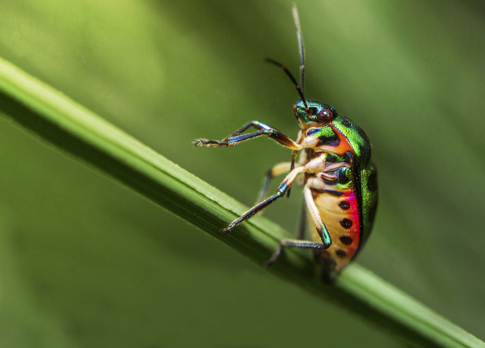 Photograph by Sayan Banerjee
