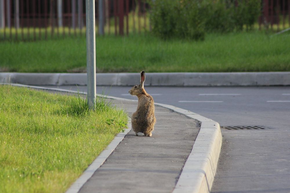 Photograph by Адия Кочубей