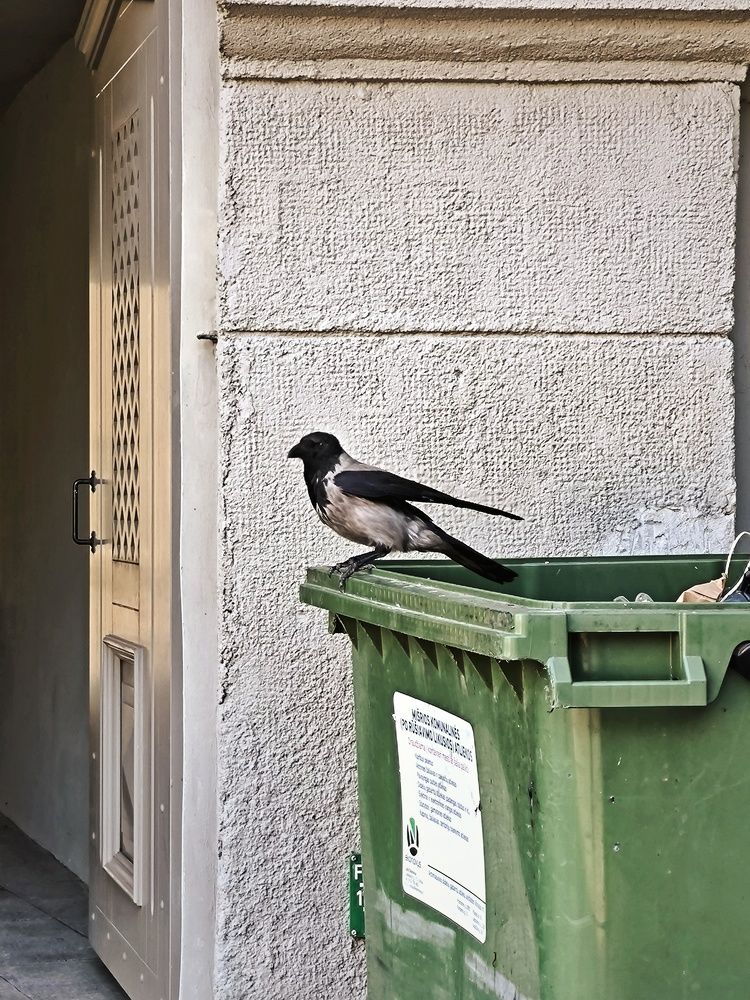 Photograph by Ksenija Bartoško