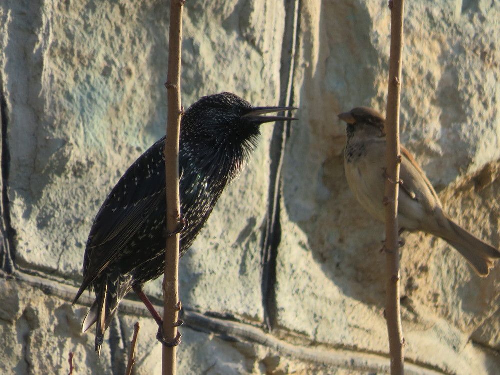 Фотография автора Mahdi Mohammadi