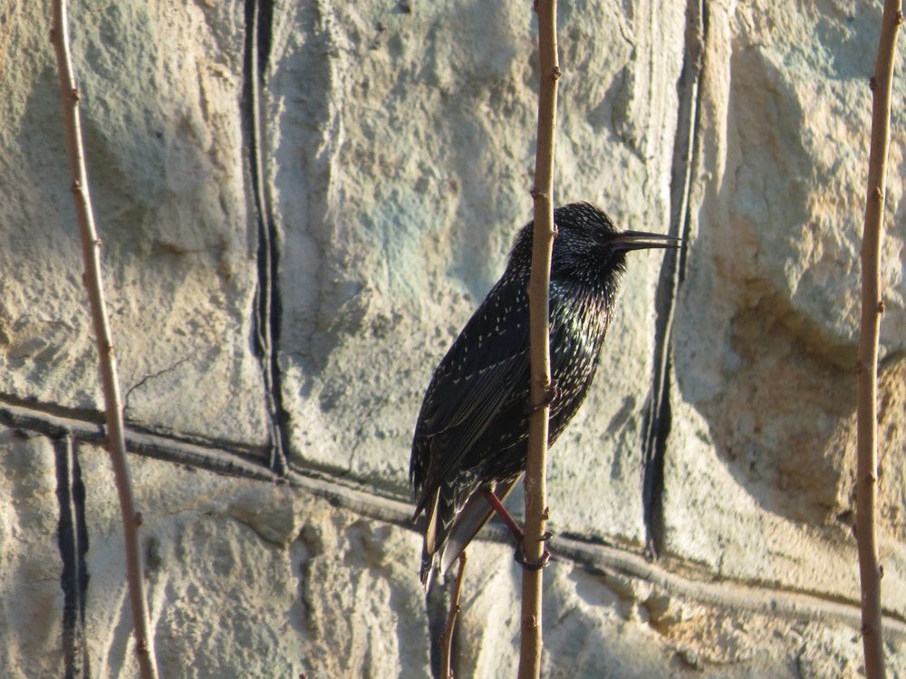 Фотография автора Mahdi Mohammadi