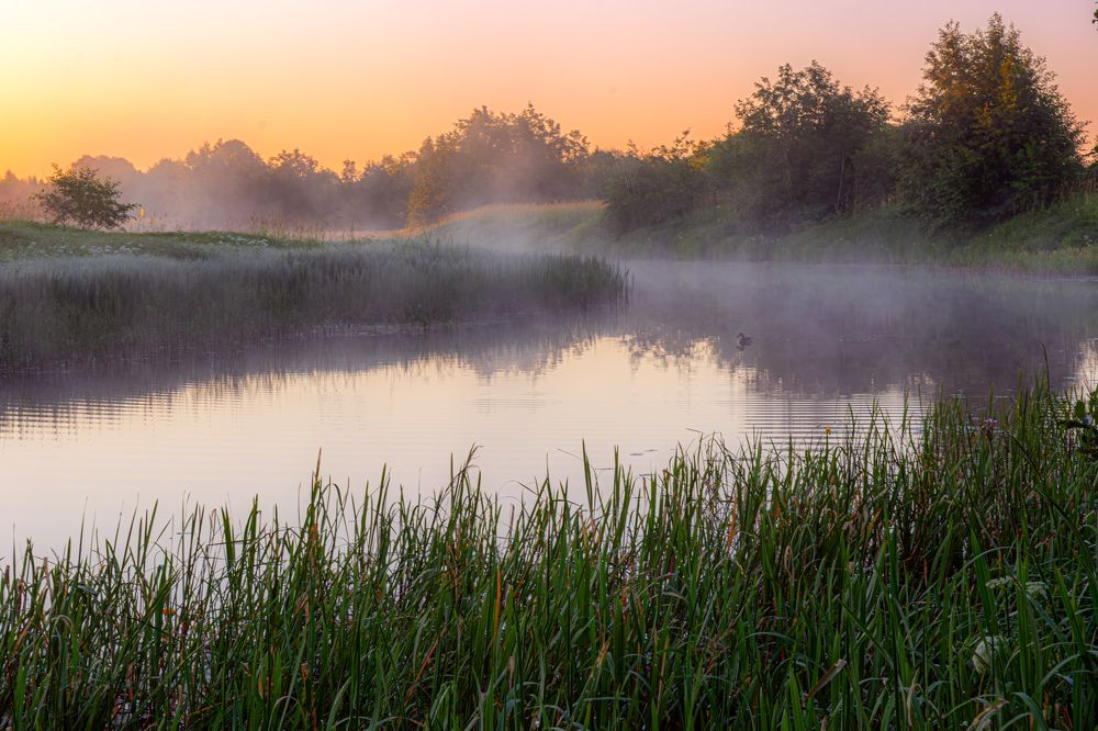 Photograph by Алексей Ильин