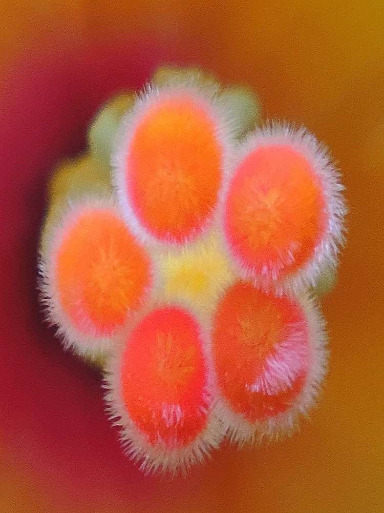 Photograph by JONATHAN VALDEZ